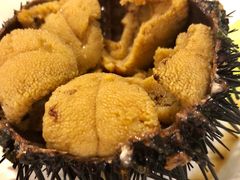 海胆-海味当家(西安路店)