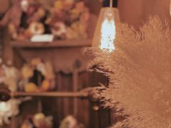 -知物癖(牛王庙店)