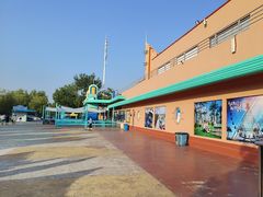 -秦皇岛乐岛海洋王国