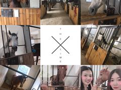 -枫露马术学院(藏书校区)