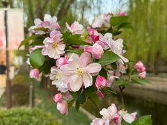 -元大都城垣遗址公园