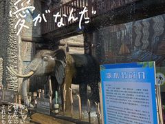 -呀路古热带植物园