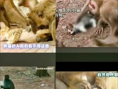 -昆明动物园