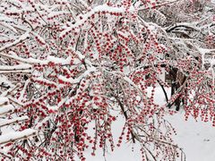 -长春公园(普阳街道)