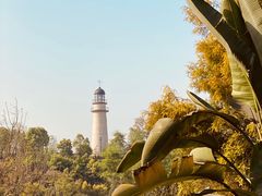-金海湾滨江公园