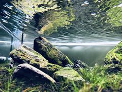 -ADA自然水景世界