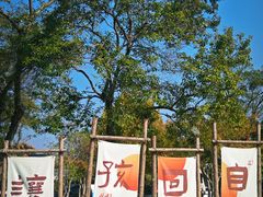 -七桥瓮公园