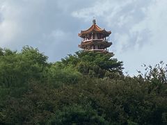 -深圳仙湖植物园