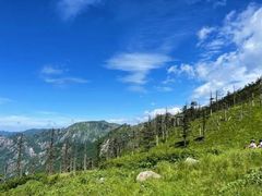 -秦岭风景区