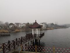 -大塘金香草谷