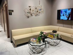 -三只熊皮肤管理中心