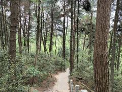 -黔灵山公园