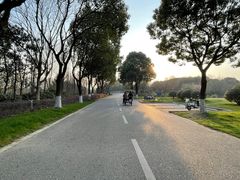 -贡湖湾湿地公园