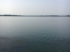-丁香湖公园