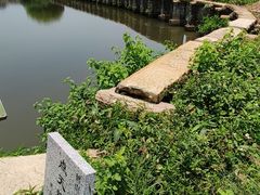 -江门古劳水乡旅游区