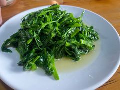 豌豆尖-蜗牛的家旅行主题云南菜餐厅.小酒馆(护国寺店)