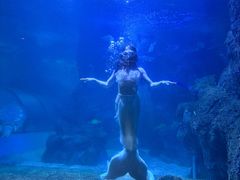 -左海海底世界