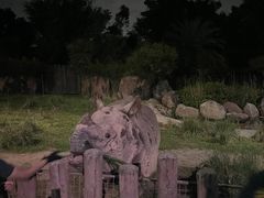 -夜间野生动物园