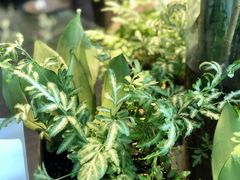 -混果汁(福田领展中心城店)