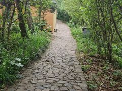 -狼山风景名胜区