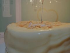 -维尔纳斯·生日蛋糕·动物奶油冰淇淋蛋糕(雨花店)