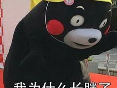 -MUSANG KING猫山王(龙湖杭州滨江天街店)