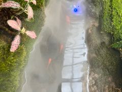 -天津海河悦榕庄·Lobby Lounge大堂吧