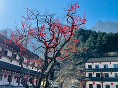 -秦岭天竺山生态文化旅游景区
