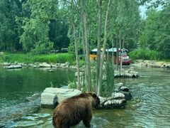 -北京野生动物园