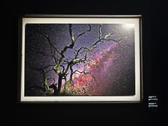 -罗红摄影艺术馆