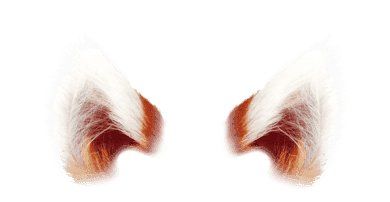 -梵未理疗瑜伽工作室