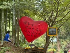 -将军关探险漂流