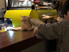 -咖法森林·咖啡  酒吧(天河店)