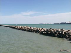 -东疆建设开发纪念公园