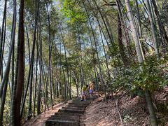 -长沙黑麋峰国家森林公园