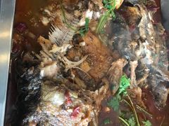 金宝鱼-新珠城鱼坊(龙湖店)