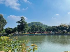 -大屏嶂森林公园