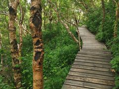 -白草畔自然风景区