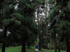 -杭州半山国家森林公园