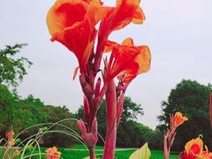 -上海共青森林公园