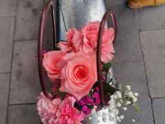 -武汉紫薇都市田园