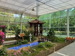 -上海鲜花港