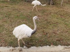 -南京金牛湖风景区