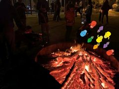 -前小桔亲子创意农场·草莓采摘·露营烧烤