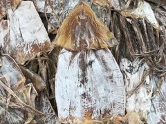 -沃尔玛福建百货有限公司(文献东路三信金鼎广场店)