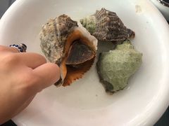 大海螺-良师门滨海人家·海鲜·家常菜(滨海城店)