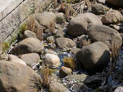 -姐妹面馆(水澄路店)