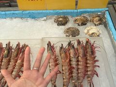 -蚝老板海鲜烧烤大排档(码头店)