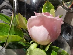 -好嫂子酱猪手•农家菜(蒲黄榆店)