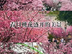 -李记串串香(李子坝店)